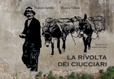 La rivolta dei ciucciari